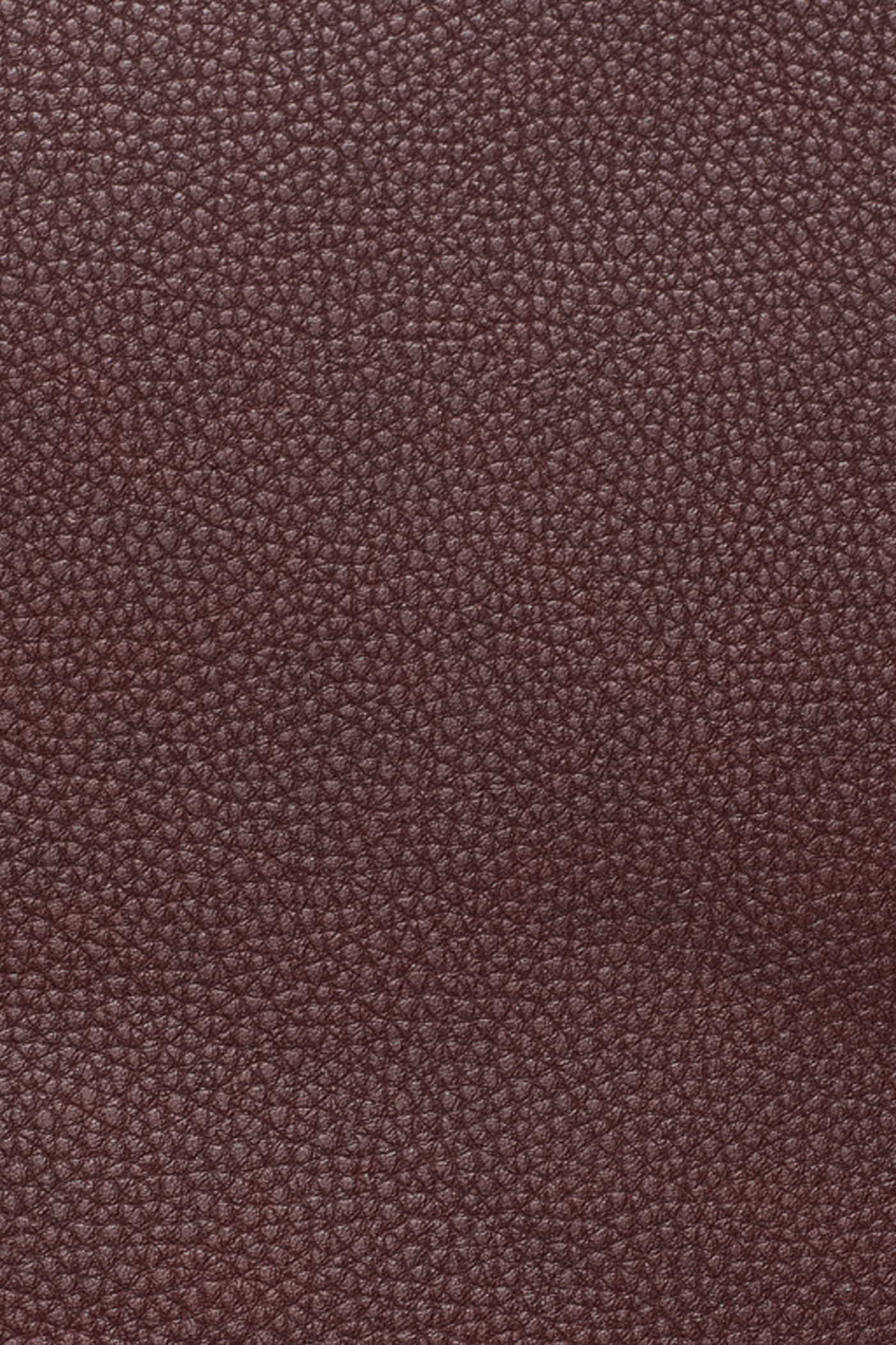 PAULA MEDIUM COMMUTER TOTE