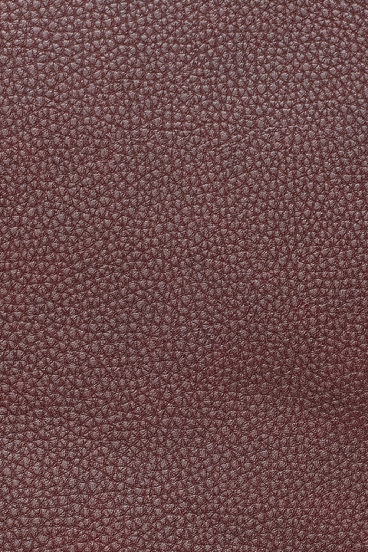 PAULA SMALL COMMUTER TOTE